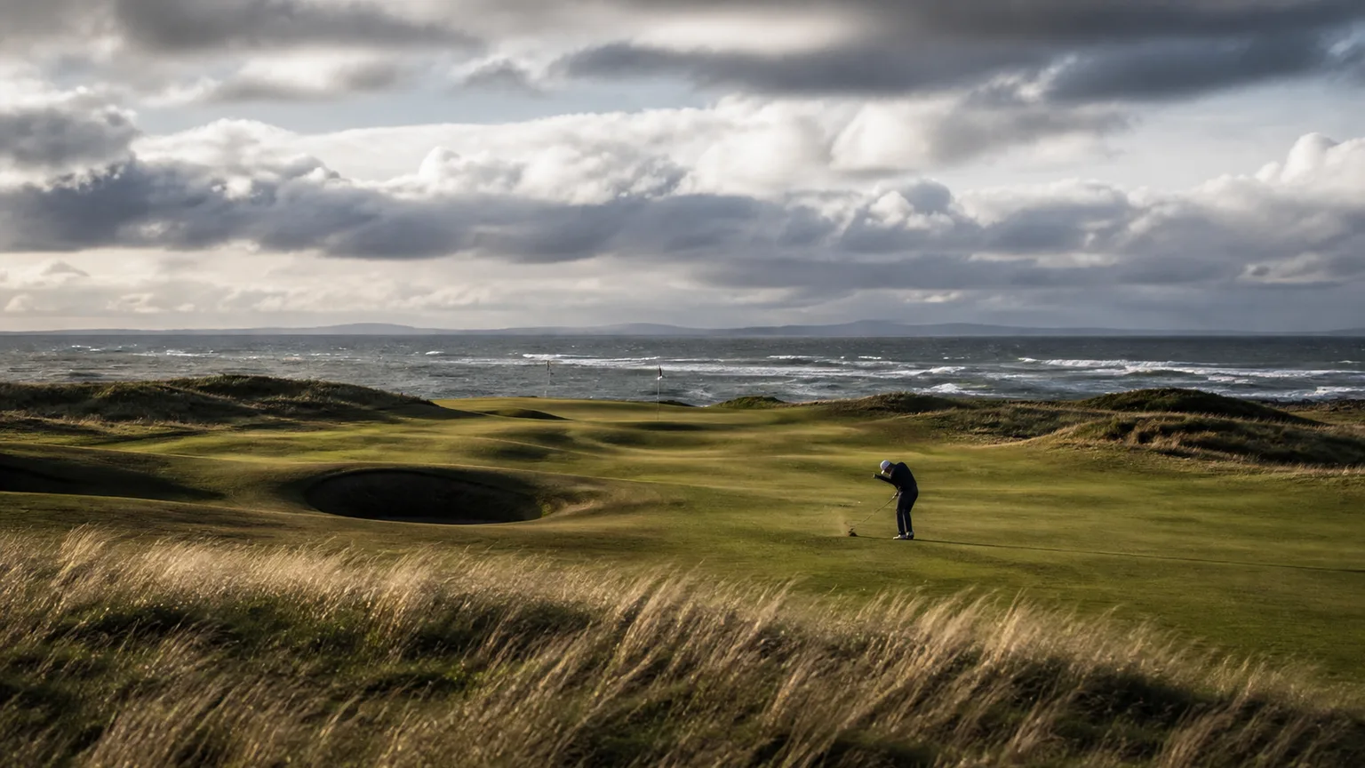 The Open Championship, undefined