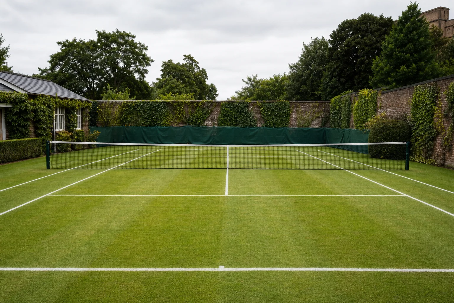 Gräsbana för tennis med nät och uppmålade linjer.